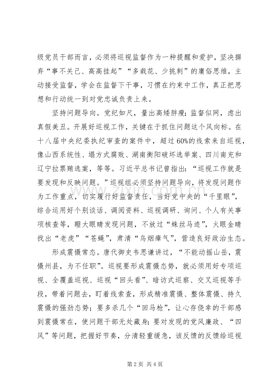 利剑巡视观后感(2).docx_第2页