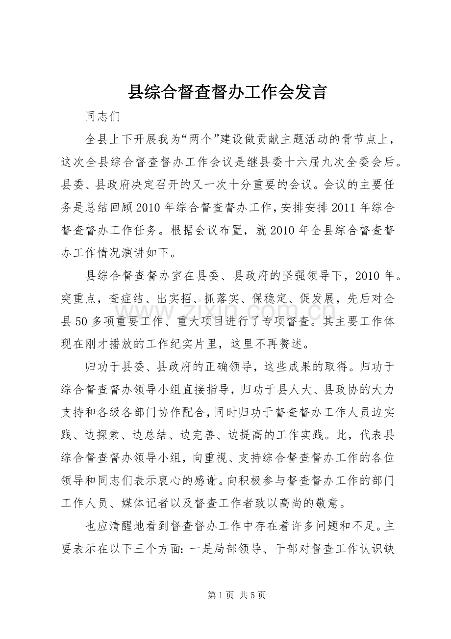 县综合督查督办工作会发言.docx_第1页