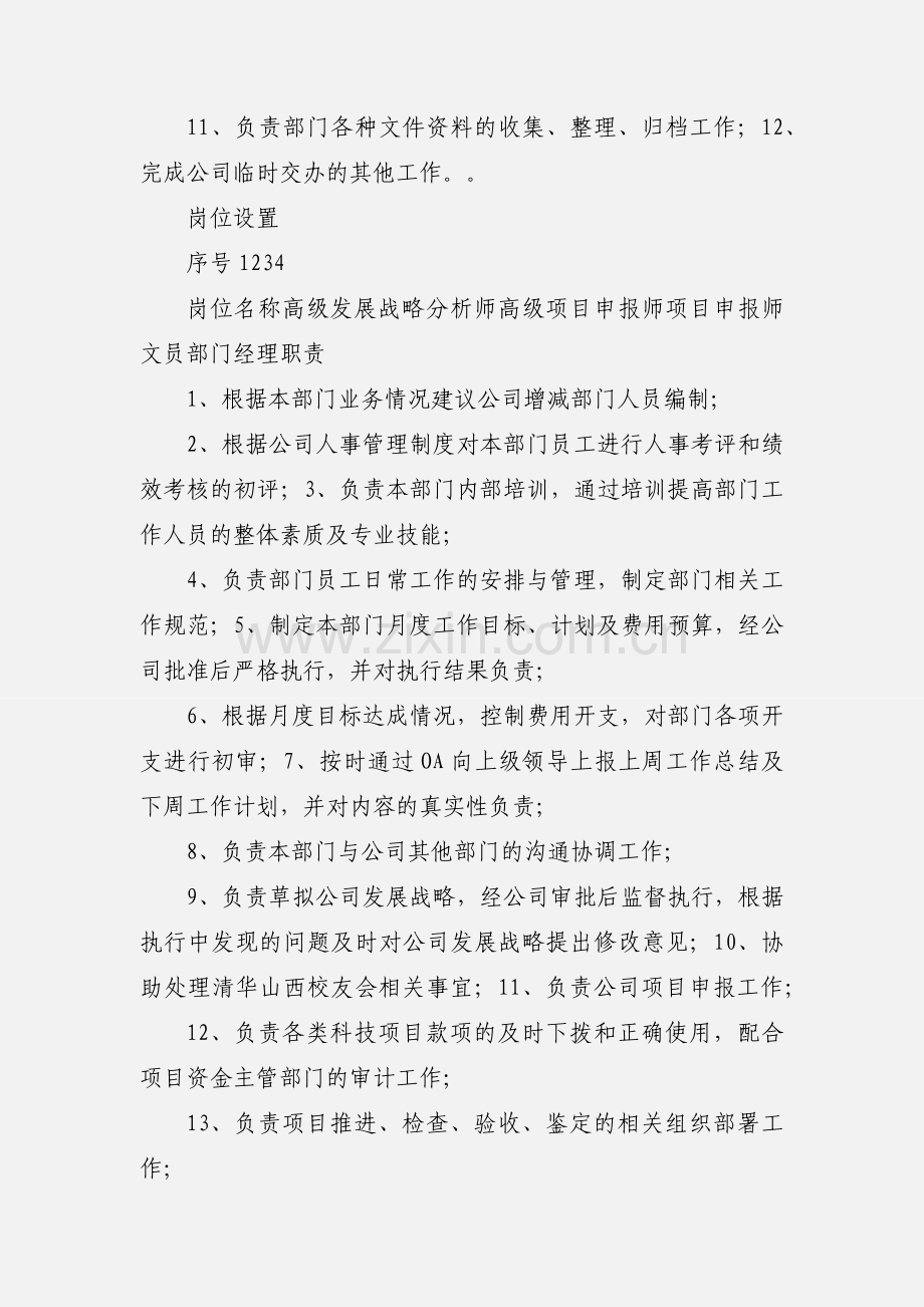 发展战略部部门职责及岗位职责.docx_第2页
