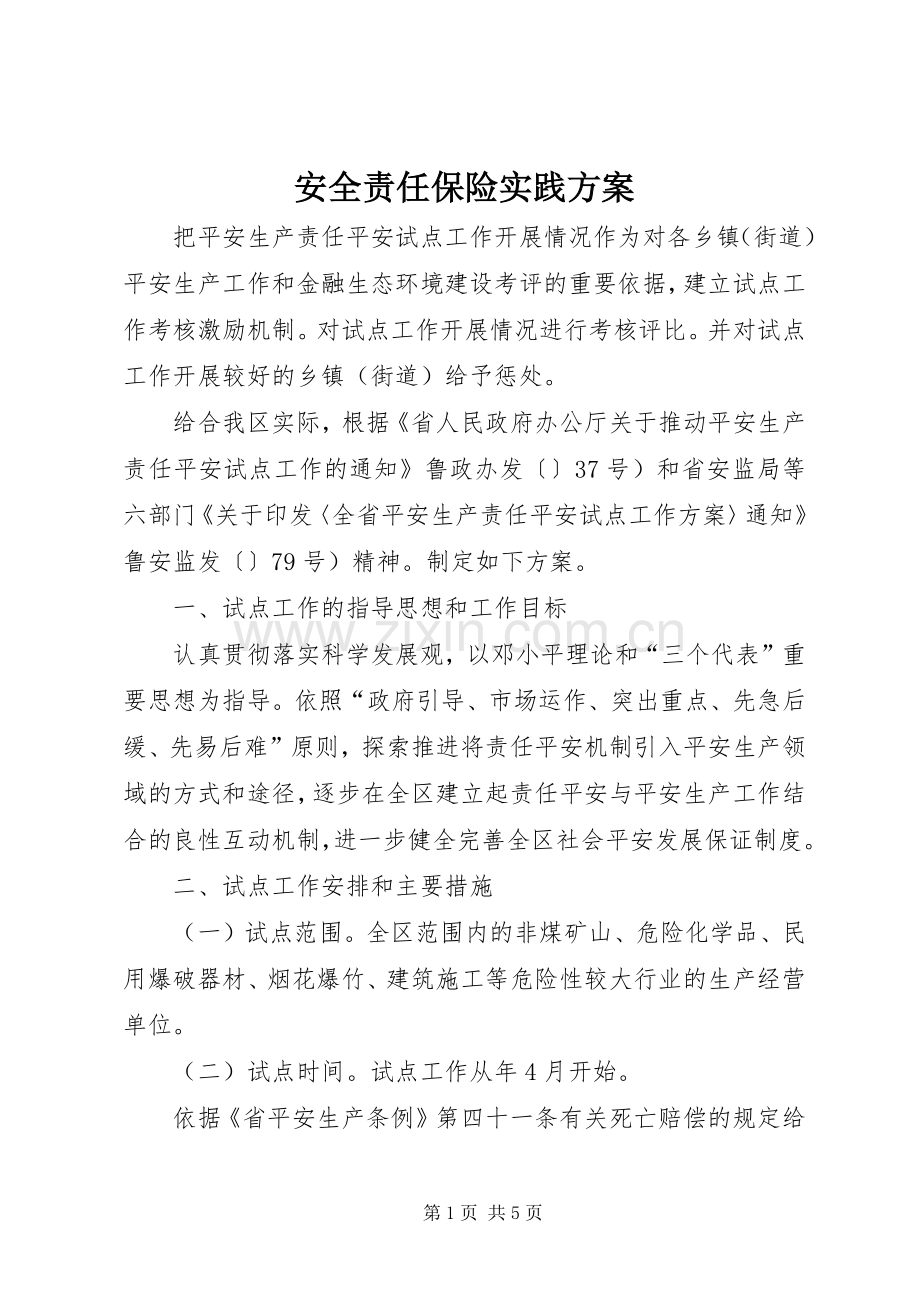安全责任保险实践实施方案.docx_第1页