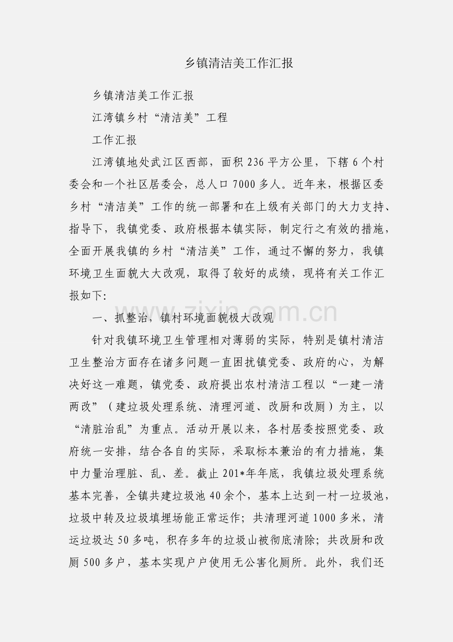乡镇清洁美工作汇报.docx_第1页