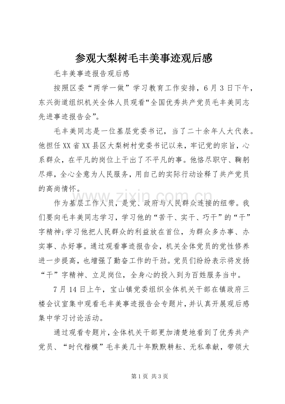 参观大梨树毛丰美事迹观后感 .docx_第1页