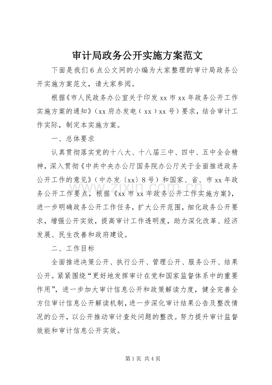 审计局政务公开方案范文.docx_第1页