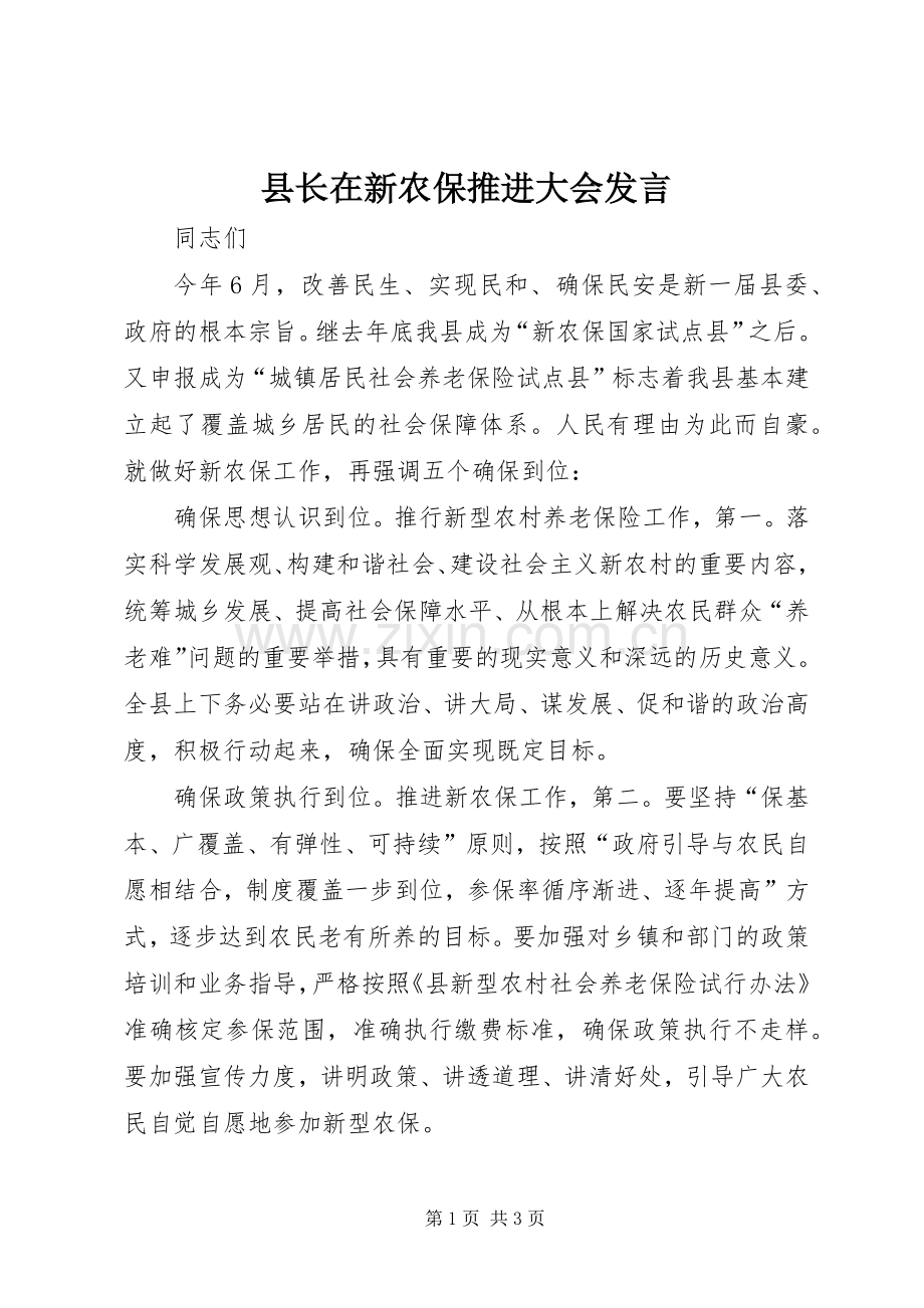 县长在新农保推进大会发言.docx_第1页