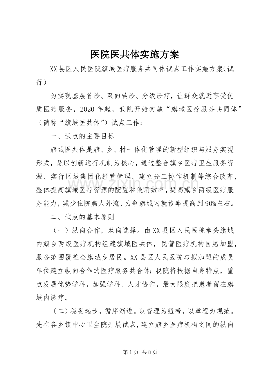 医院医共体方案.docx_第1页