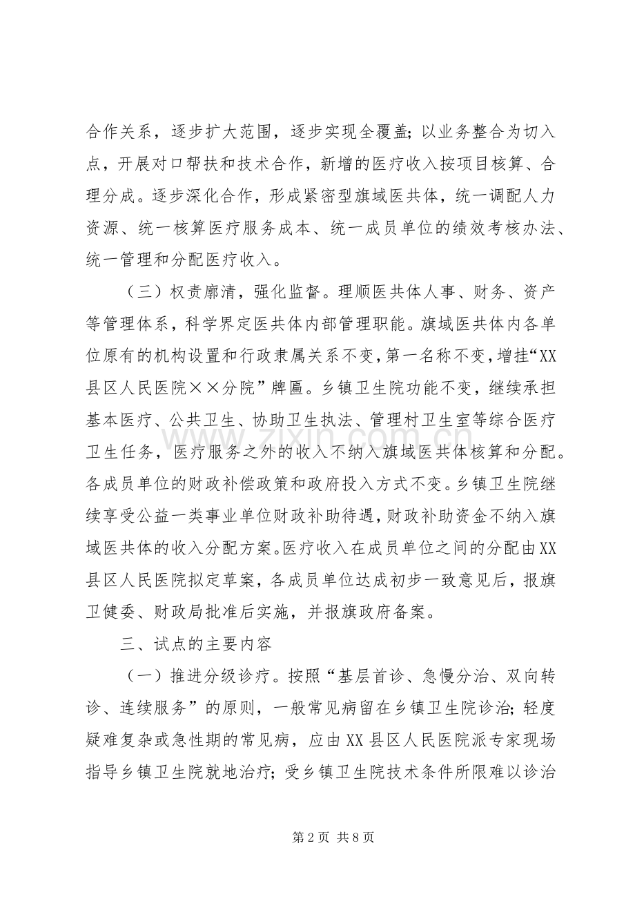 医院医共体方案.docx_第2页