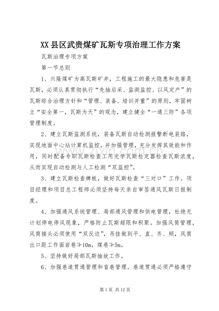 XX县区武贵煤矿瓦斯专项治理工作实施方案 .docx_第1页