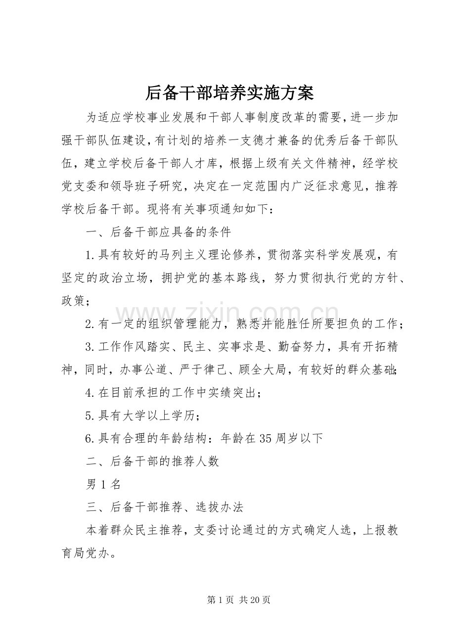 后备干部培养方案.docx_第1页