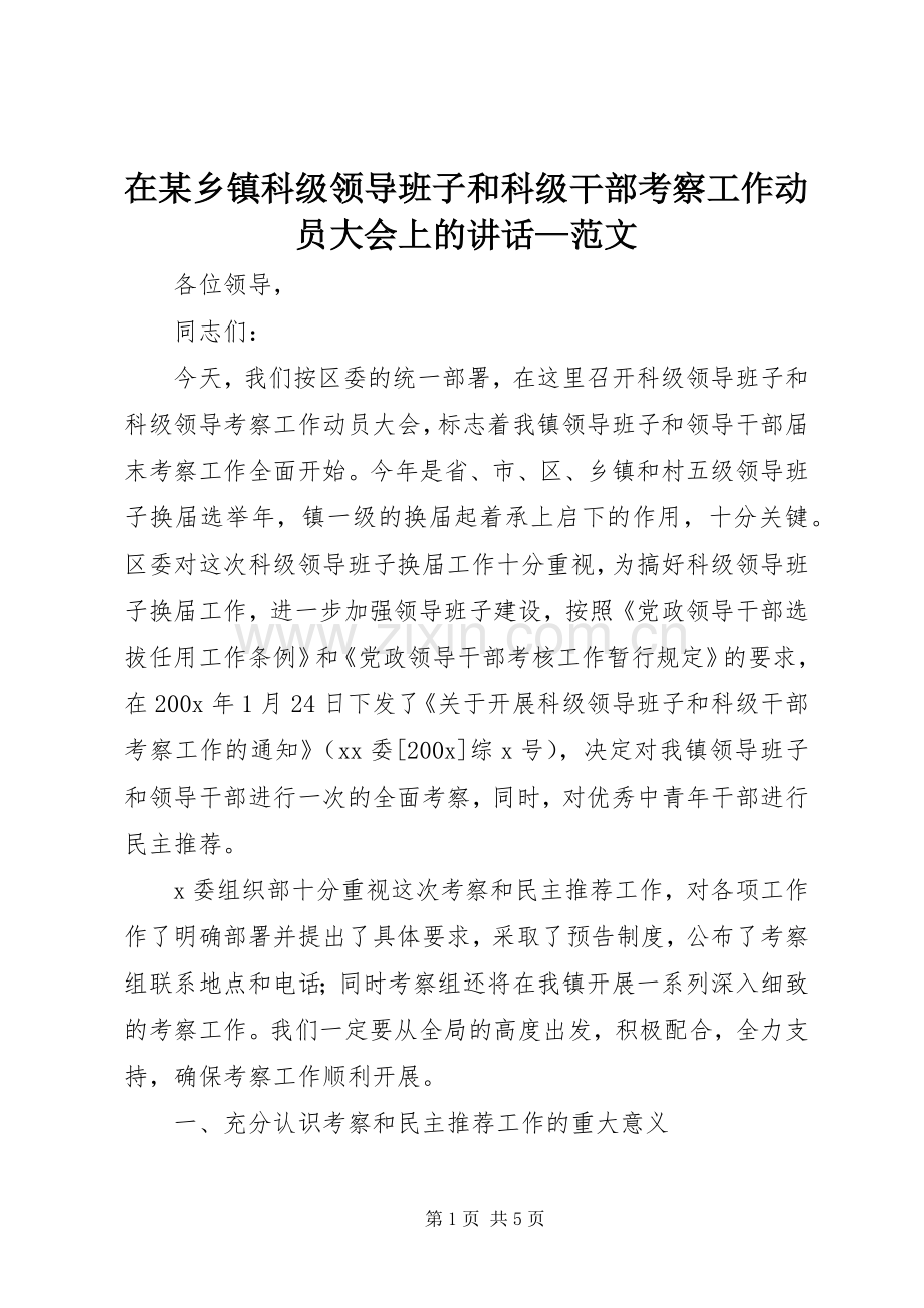 在某乡镇科级领导班子和科级干部考察工作动员大会上的讲话—范文.docx_第1页