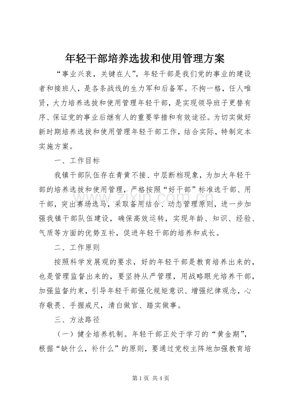 年轻干部培养选拔和使用管理实施方案.docx_第1页