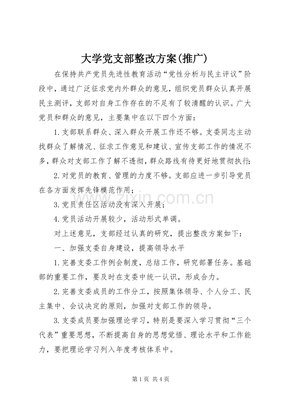 大学党支部整改实施方案(推广).docx_第1页
