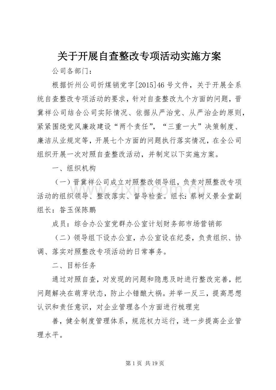 关于开展自查整改专项活动方案.docx_第1页