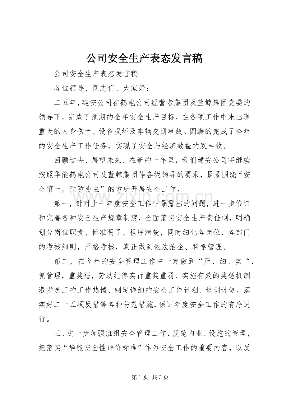 公司安全生产表态发言稿.docx_第1页
