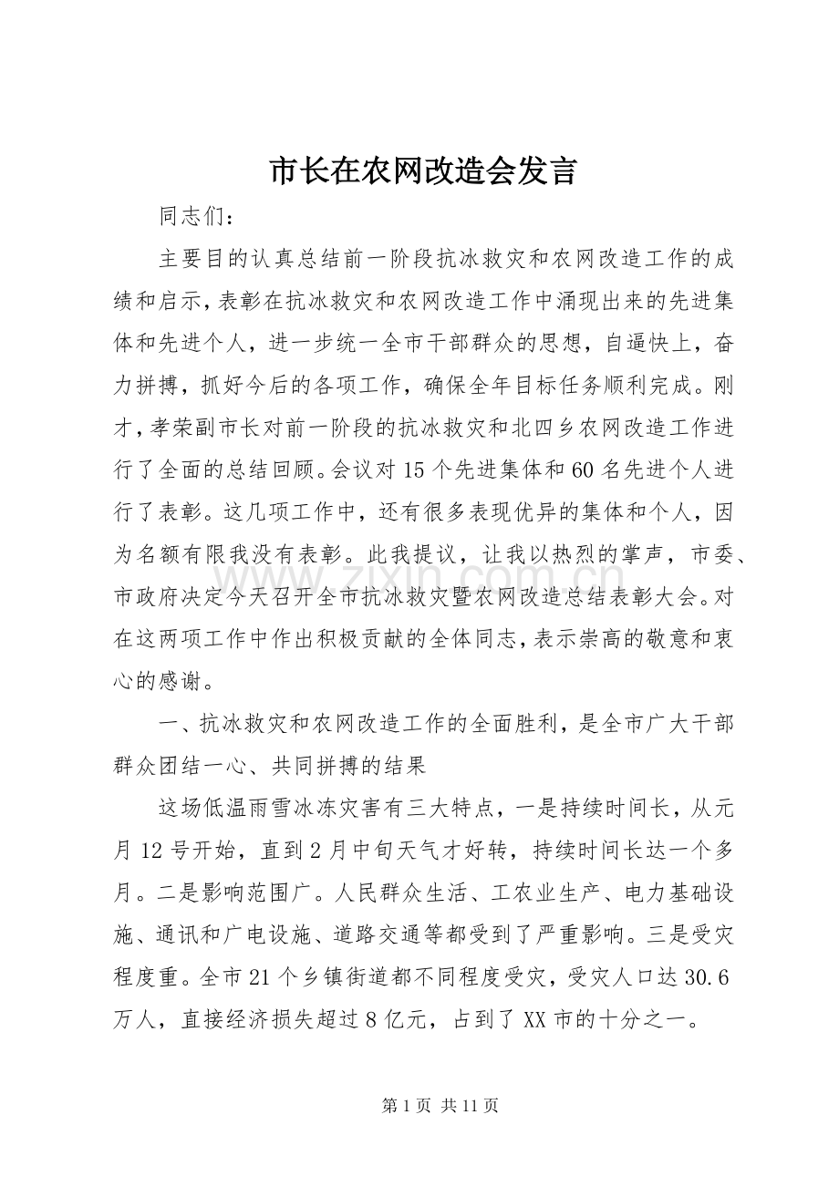 市长在农网改造会发言.docx_第1页