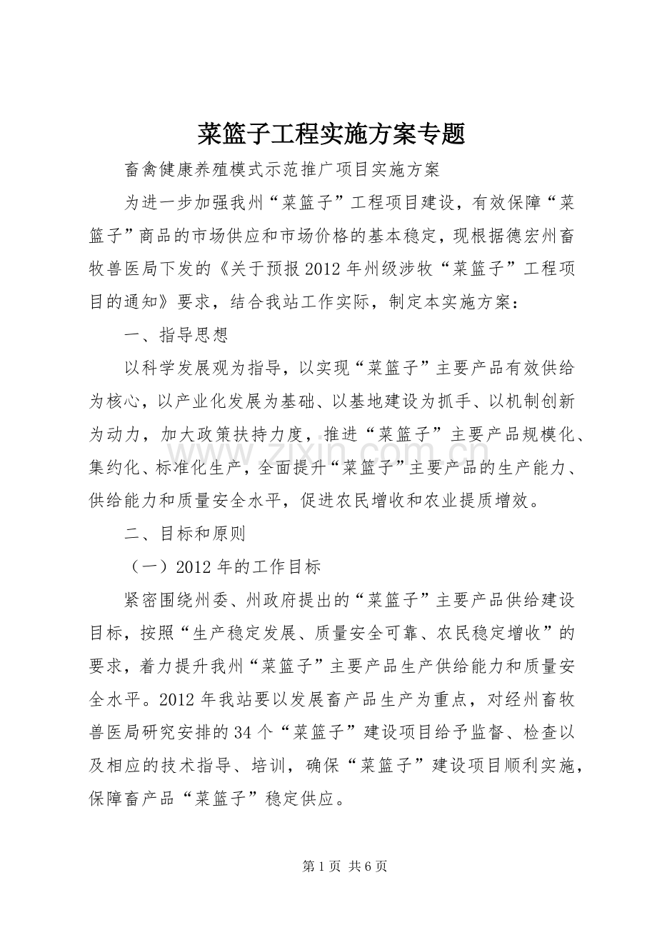 菜篮子工程方案专题.docx_第1页