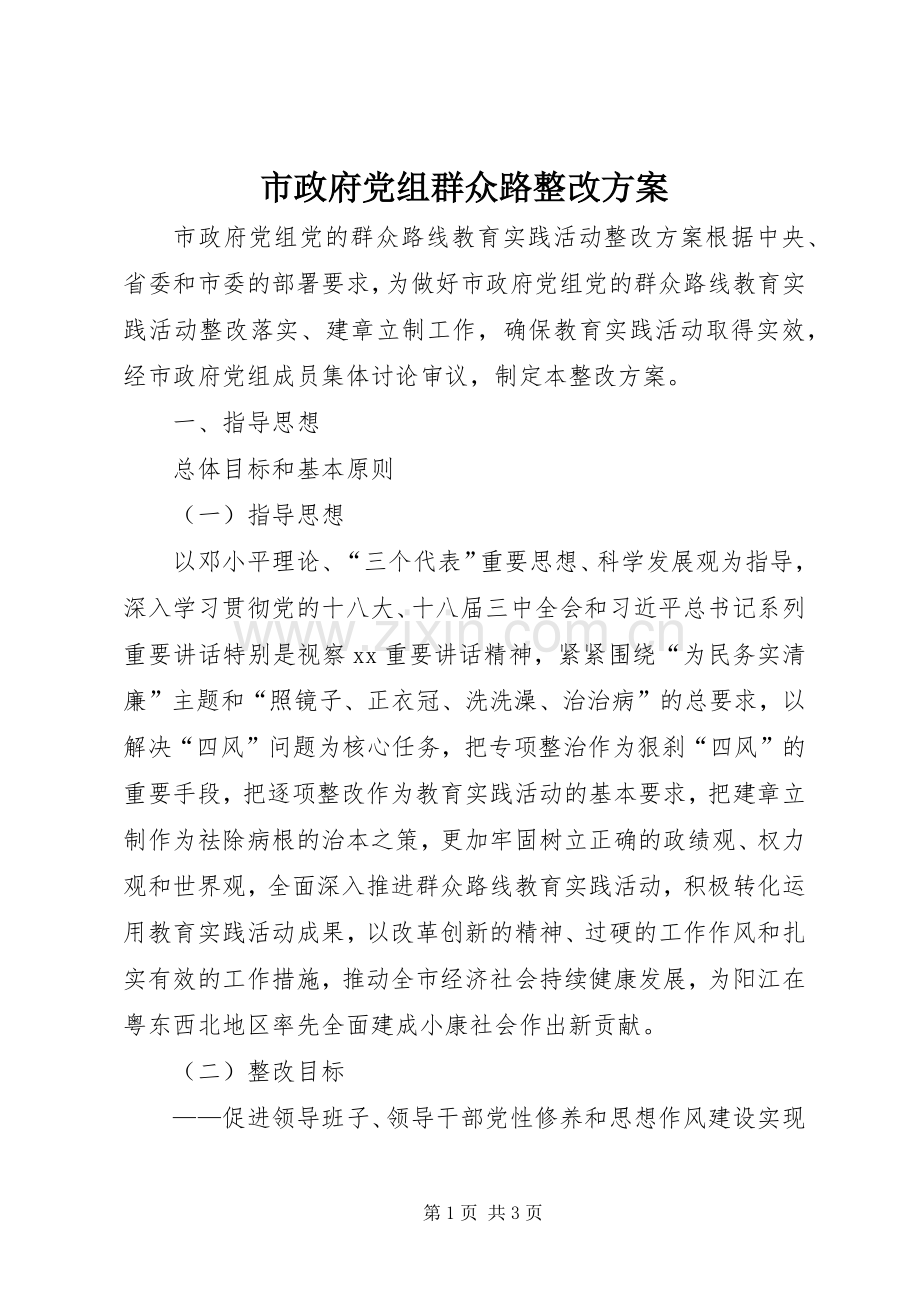 市政府党组群众路整改实施方案.docx_第1页