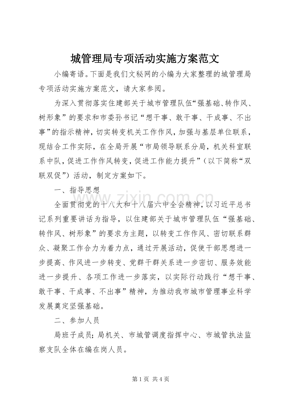 城管理局专项活动方案范文.docx_第1页