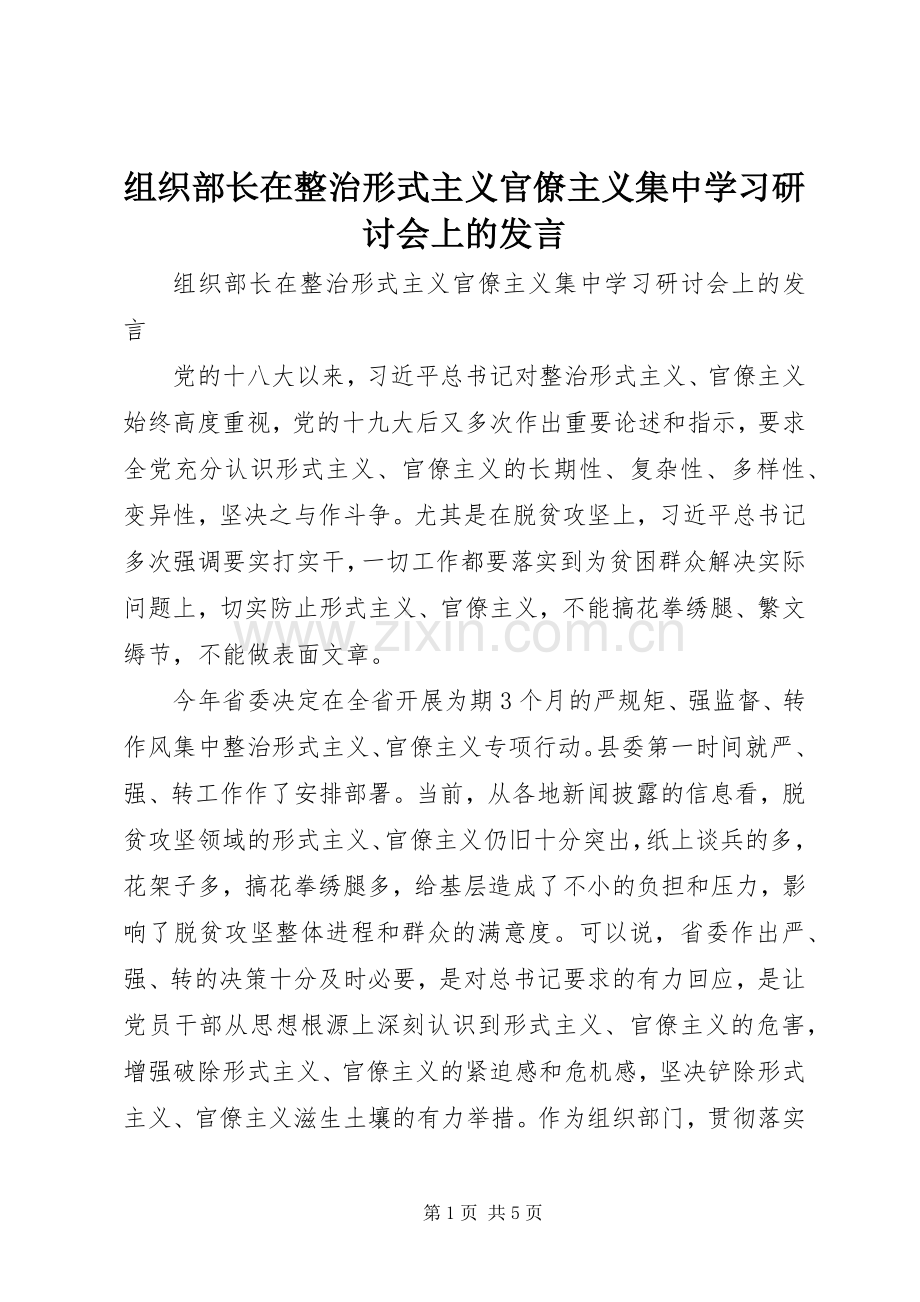组织部长在整治形式主义官僚主义集中学习研讨会上的发言.docx_第1页