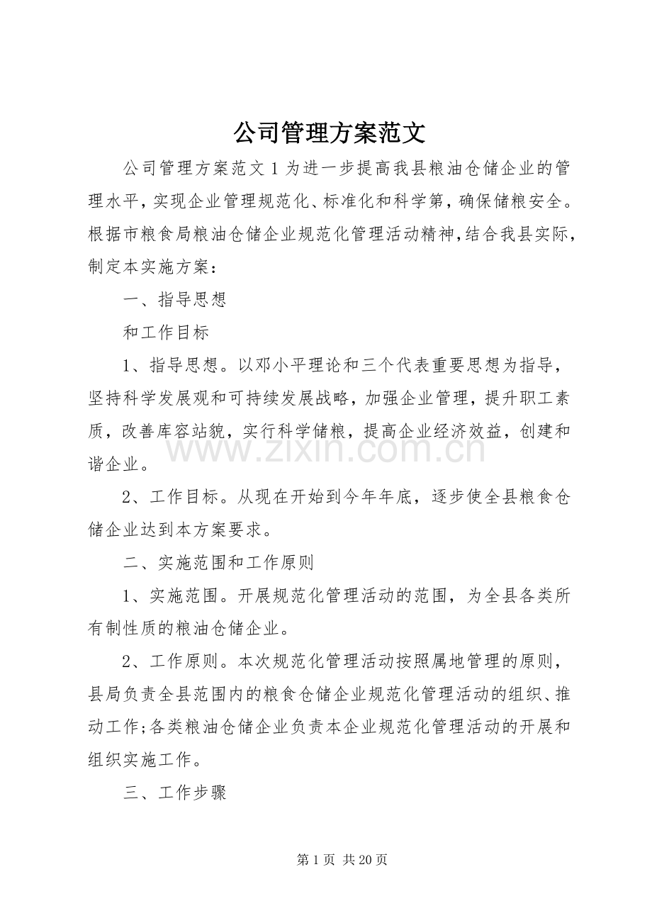 公司管理实施方案范文.docx_第1页