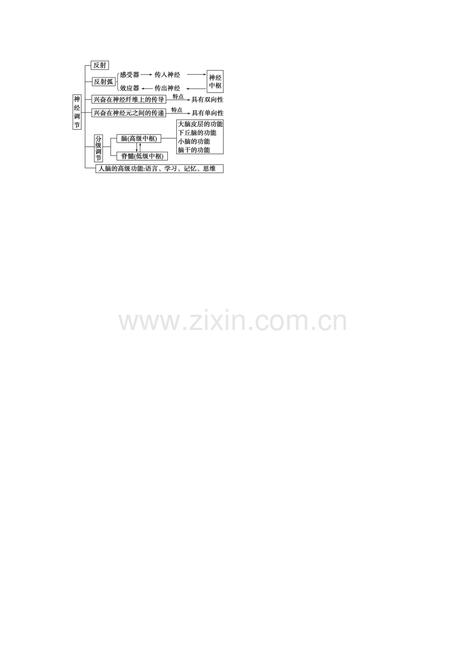 神经调节知识树.doc_第1页