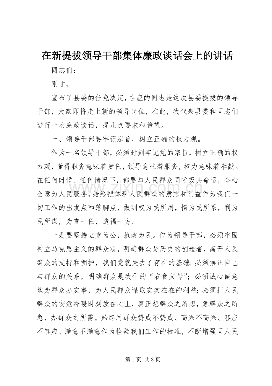 在新提拔领导干部集体廉政谈话会上的讲话.docx_第1页