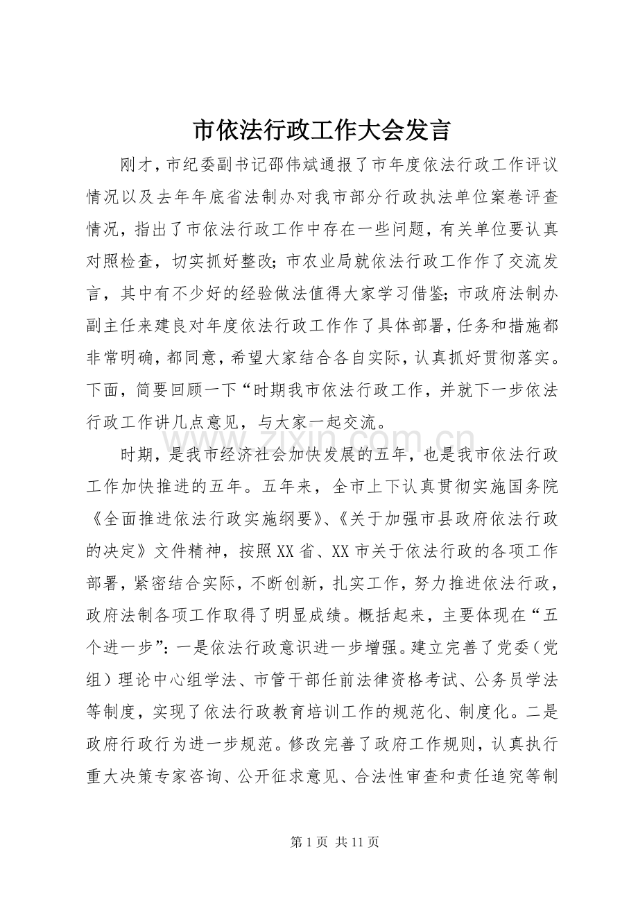 市依法行政工作大会发言.docx_第1页