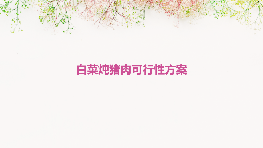 白菜炖猪肉可行性方案.pptx_第1页