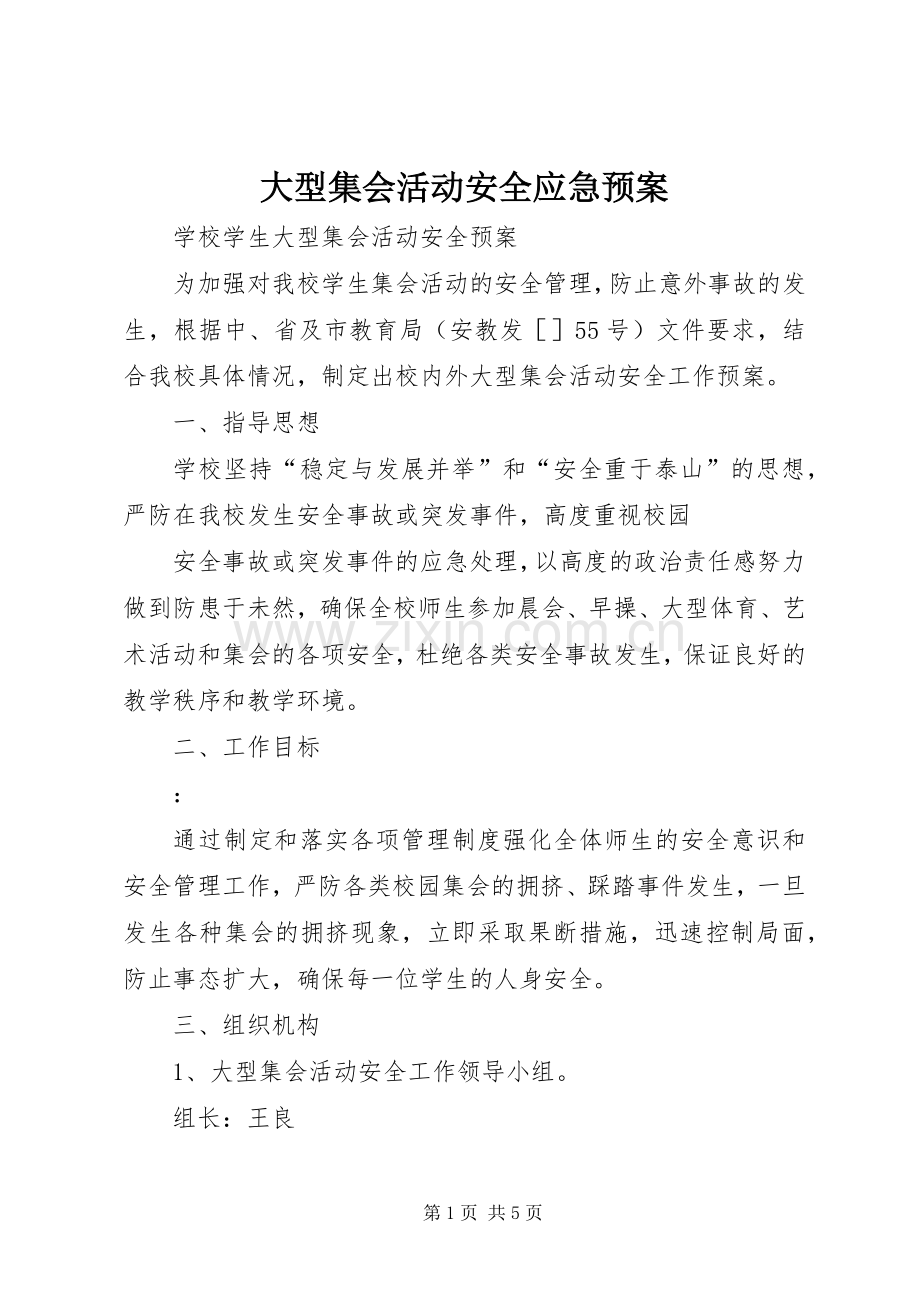 大型集会活动安全应急处理预案.docx_第1页