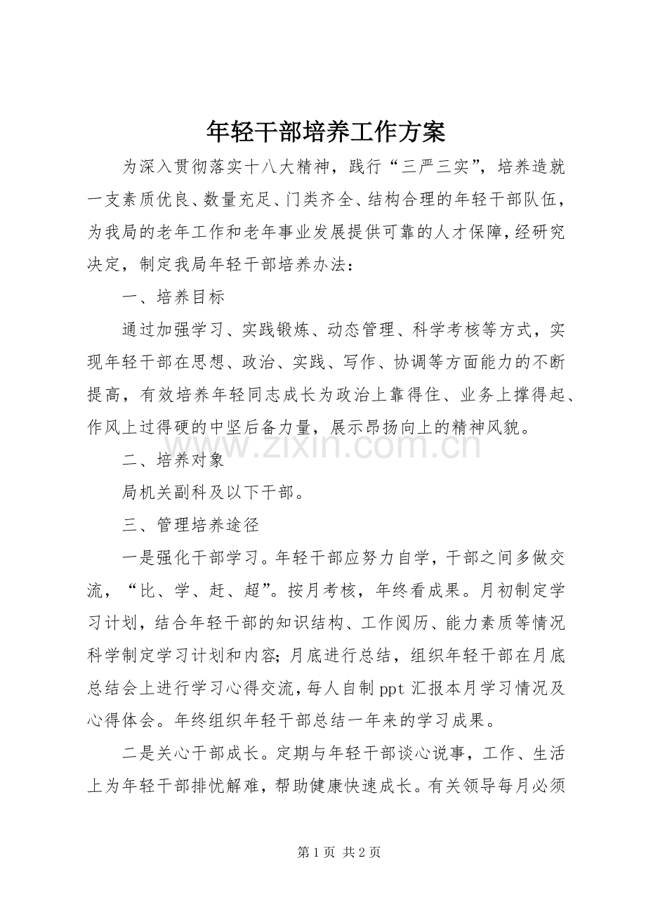 年轻干部培养工作实施方案.docx_第1页