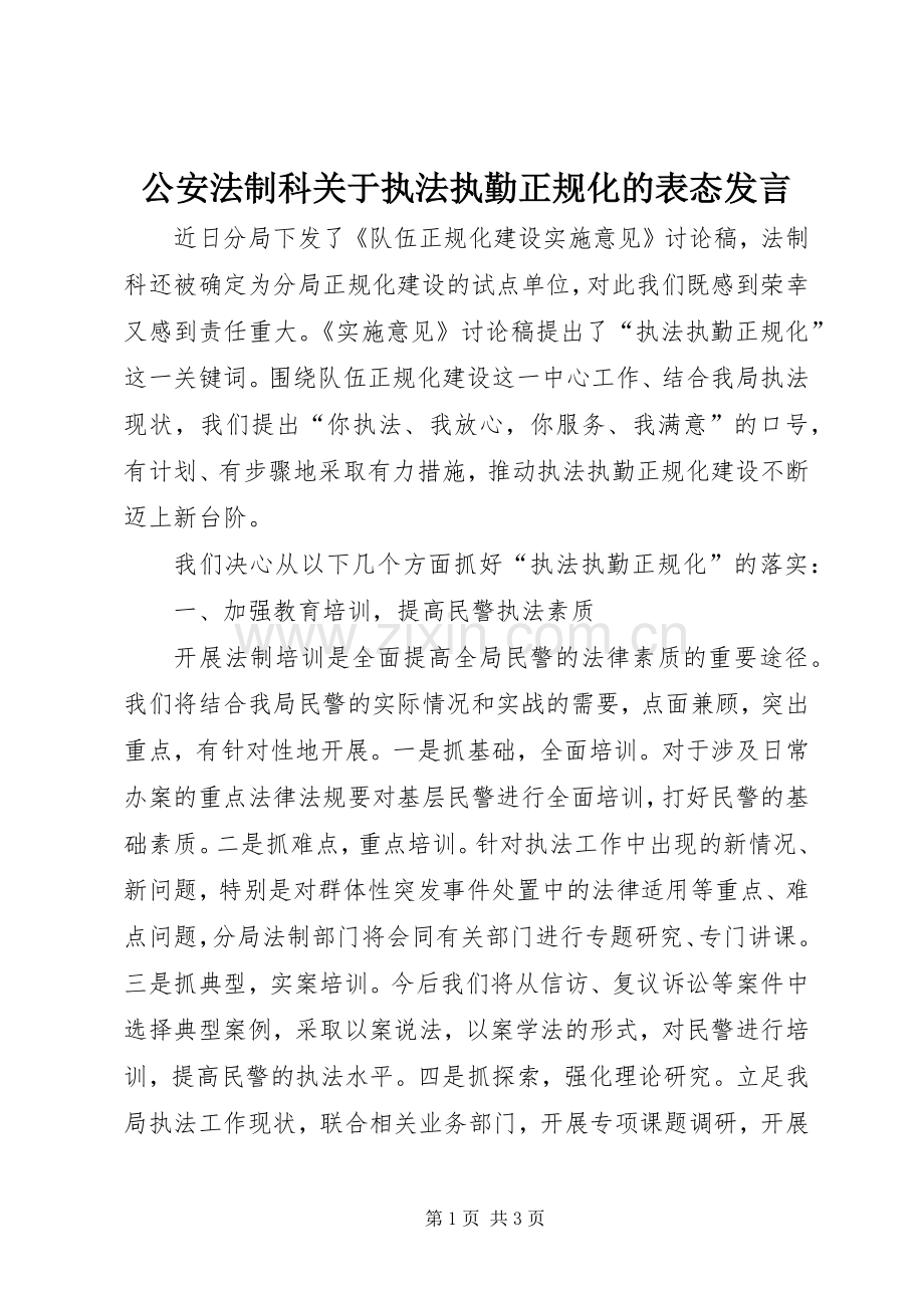 公安法制科关于执法执勤正规化的表态发言稿.docx_第1页