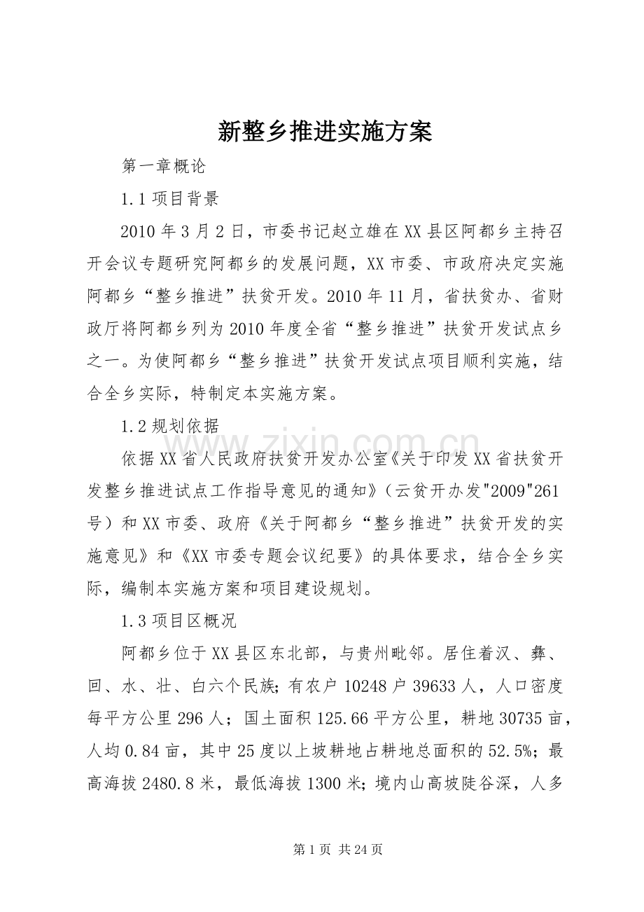 新整乡推进方案.docx_第1页