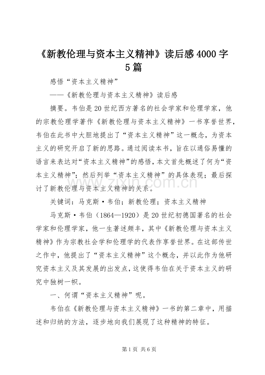 《新教伦理与资本主义精神》读后感4000字5篇 .docx_第1页