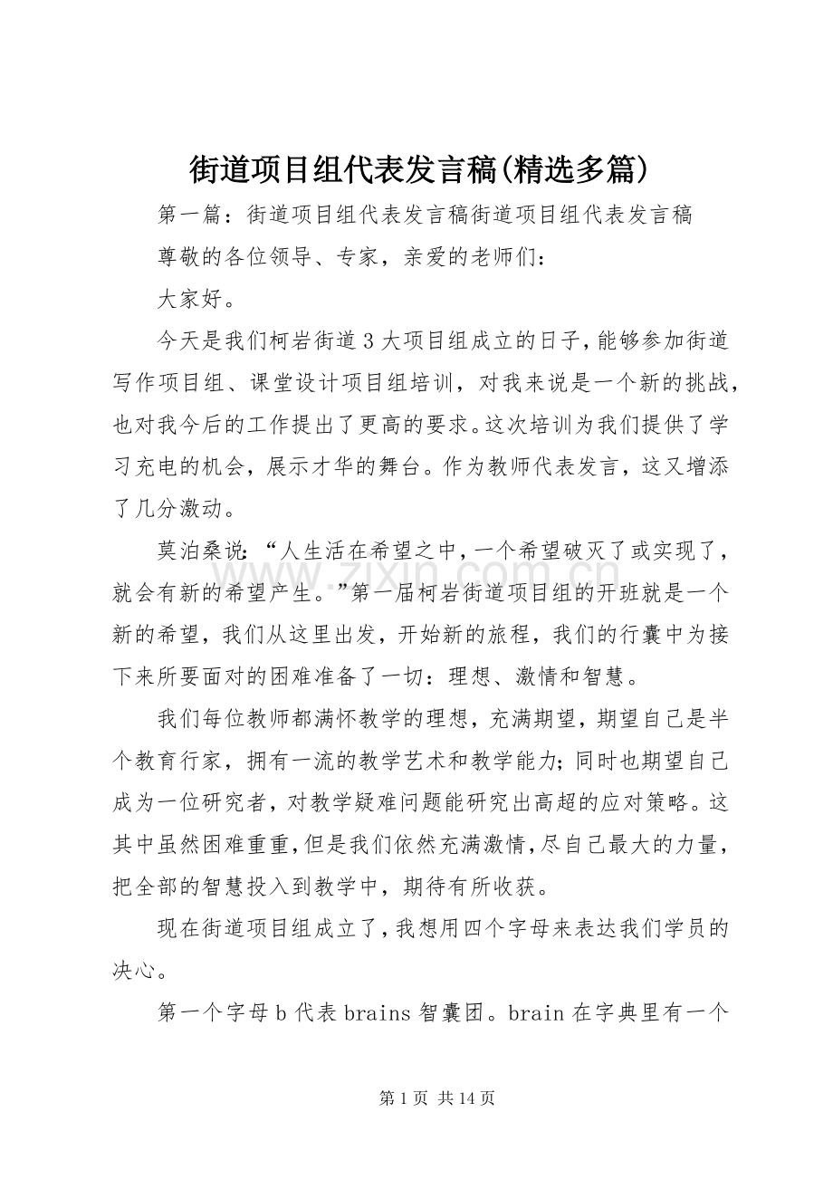 街道项目组代表发言(多篇).docx_第1页