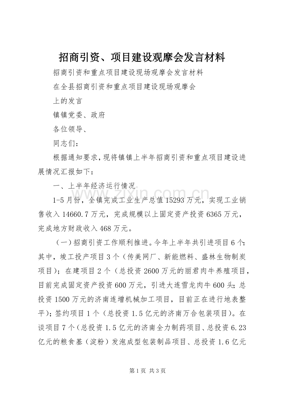 招商引资、项目建设观摩会发言材料提纲.docx_第1页