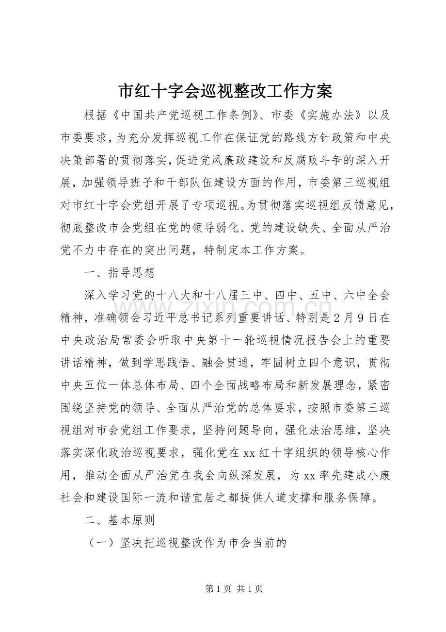 市红十字会巡视整改工作实施方案.docx_第1页