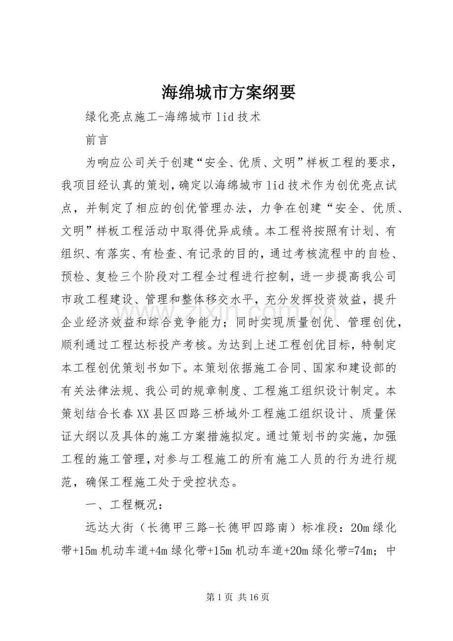 海绵城市实施方案纲要 .docx_第1页