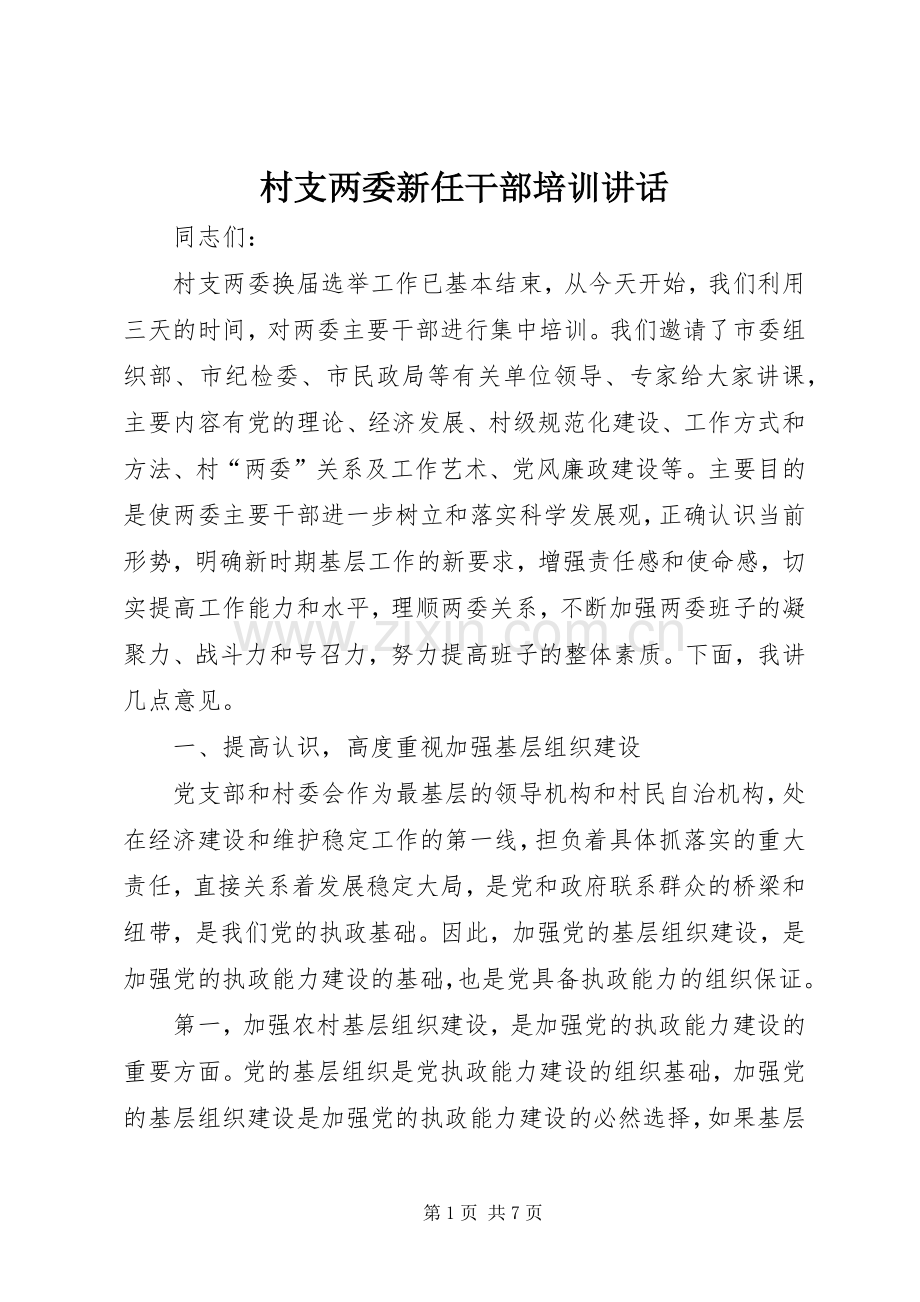 村支两委新任干部培训讲话.docx_第1页