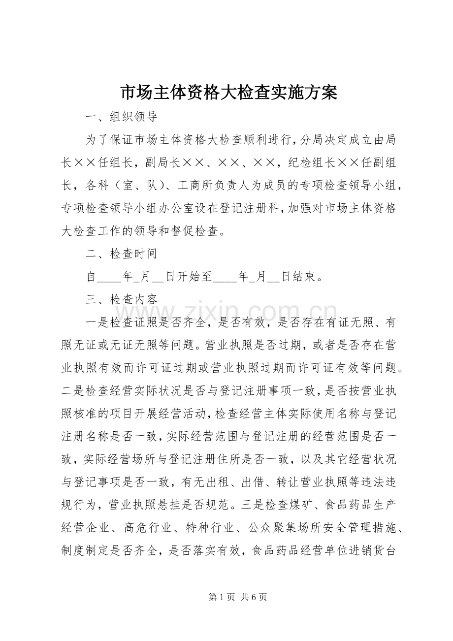 市场主体资格大检查方案.docx_第1页