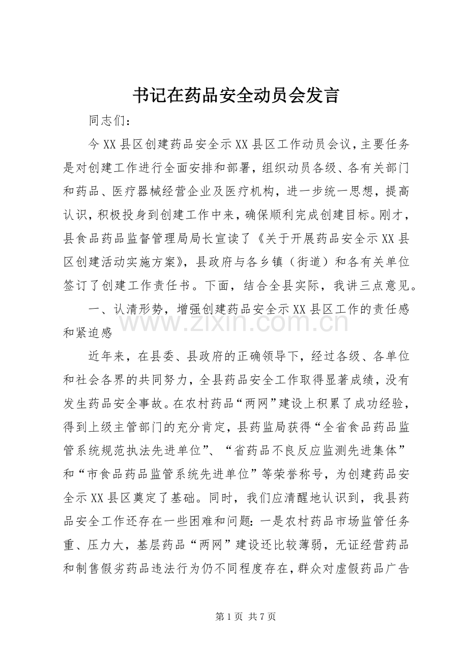 书记在药品安全动员会发言.docx_第1页