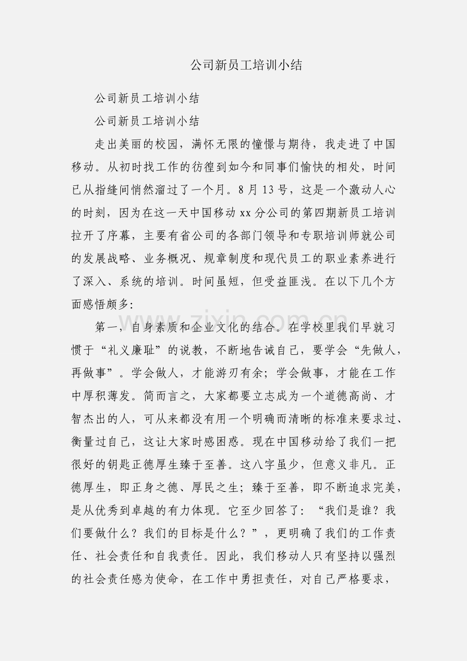 公司新员工培训小结.docx_第1页