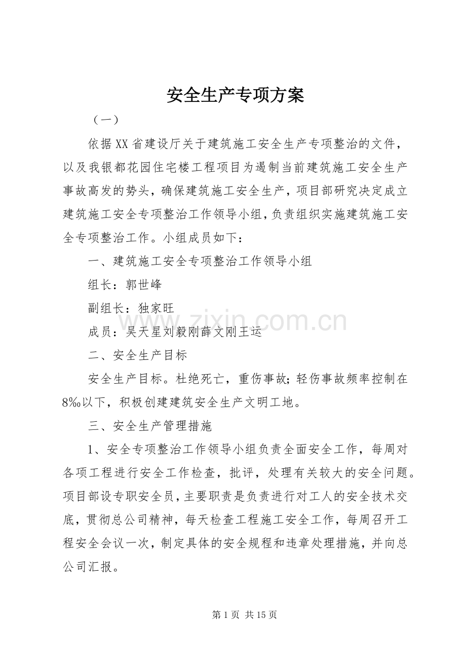安全生产专项实施方案.docx_第1页