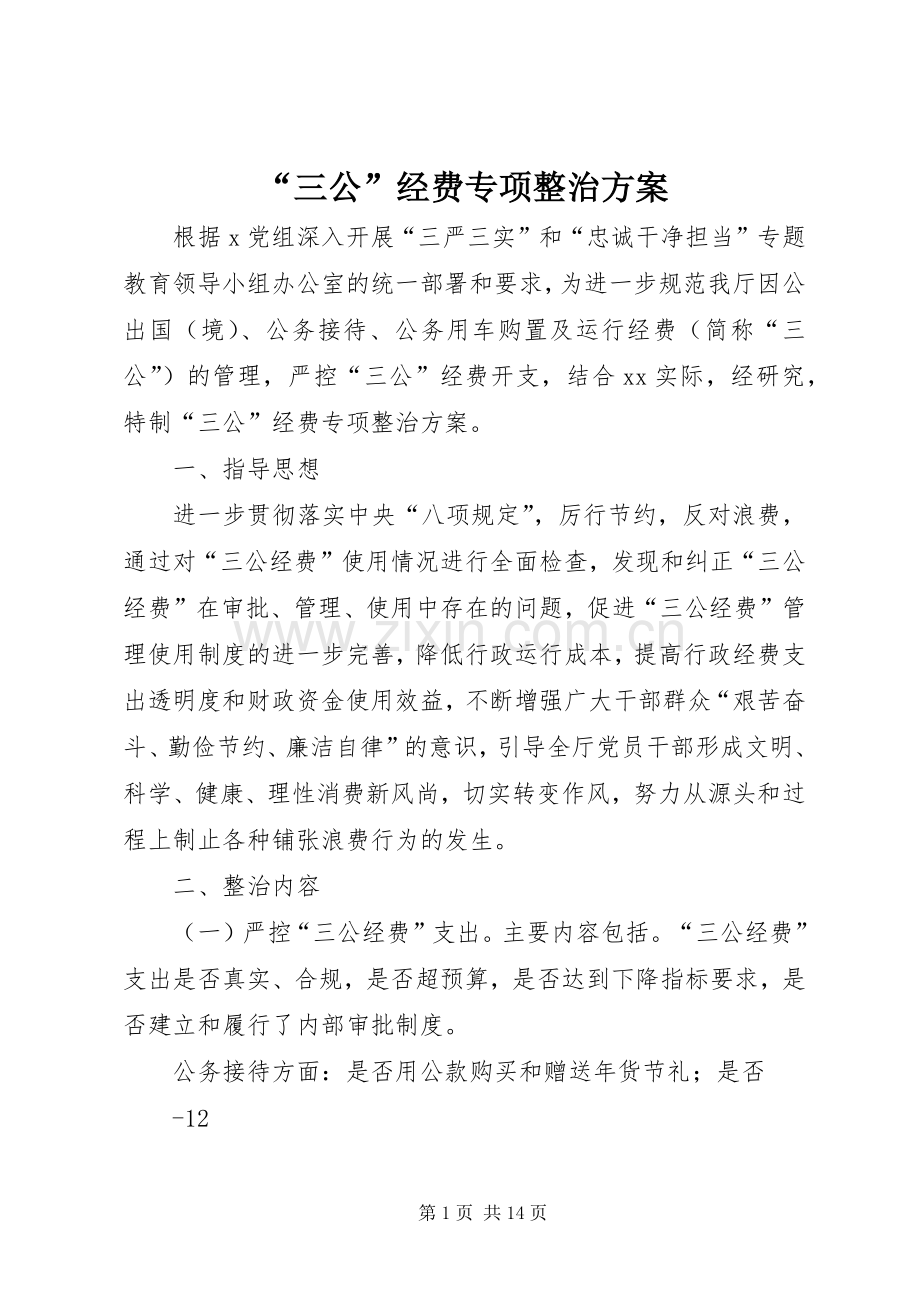 “三公”经费专项整治实施方案.docx_第1页