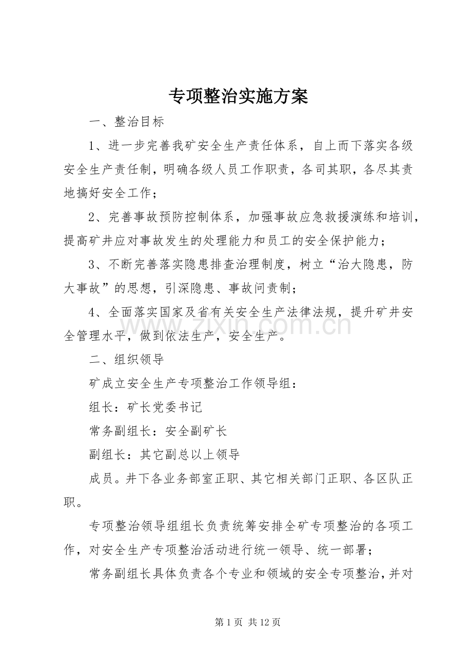 专项整治方案 .docx_第1页