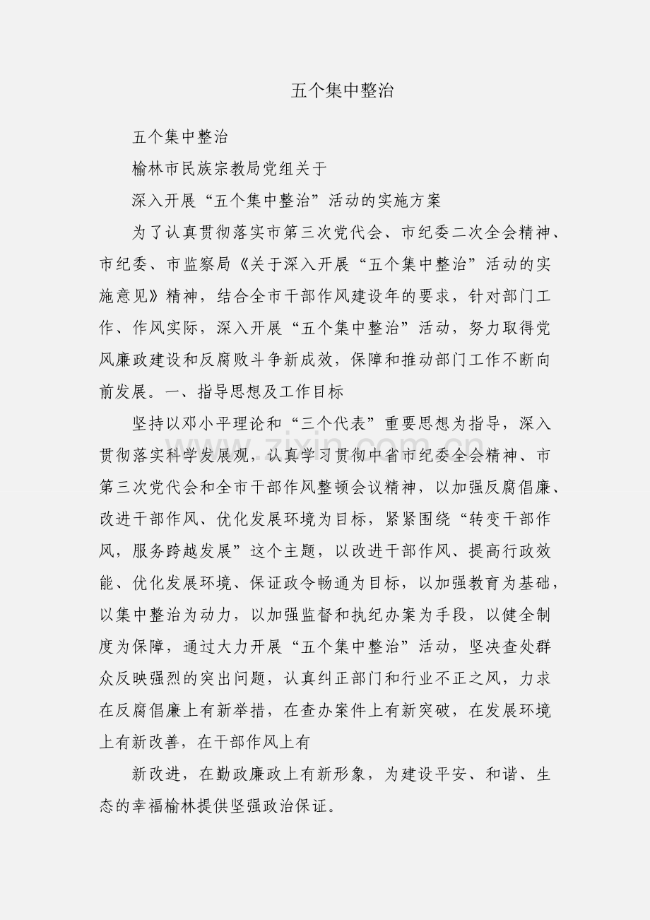 五个集中整治.docx_第1页