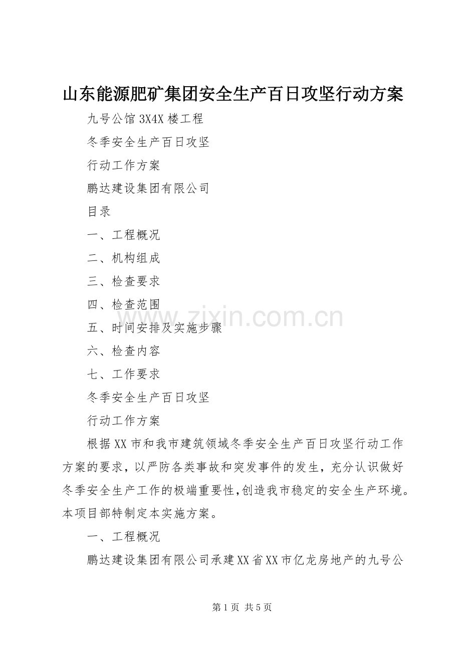山东能源肥矿集团安全生产百日攻坚行动实施方案 .docx_第1页