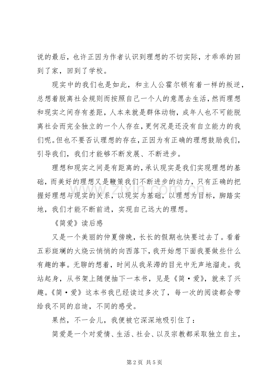 麦田里的守望读后感(2).docx_第2页
