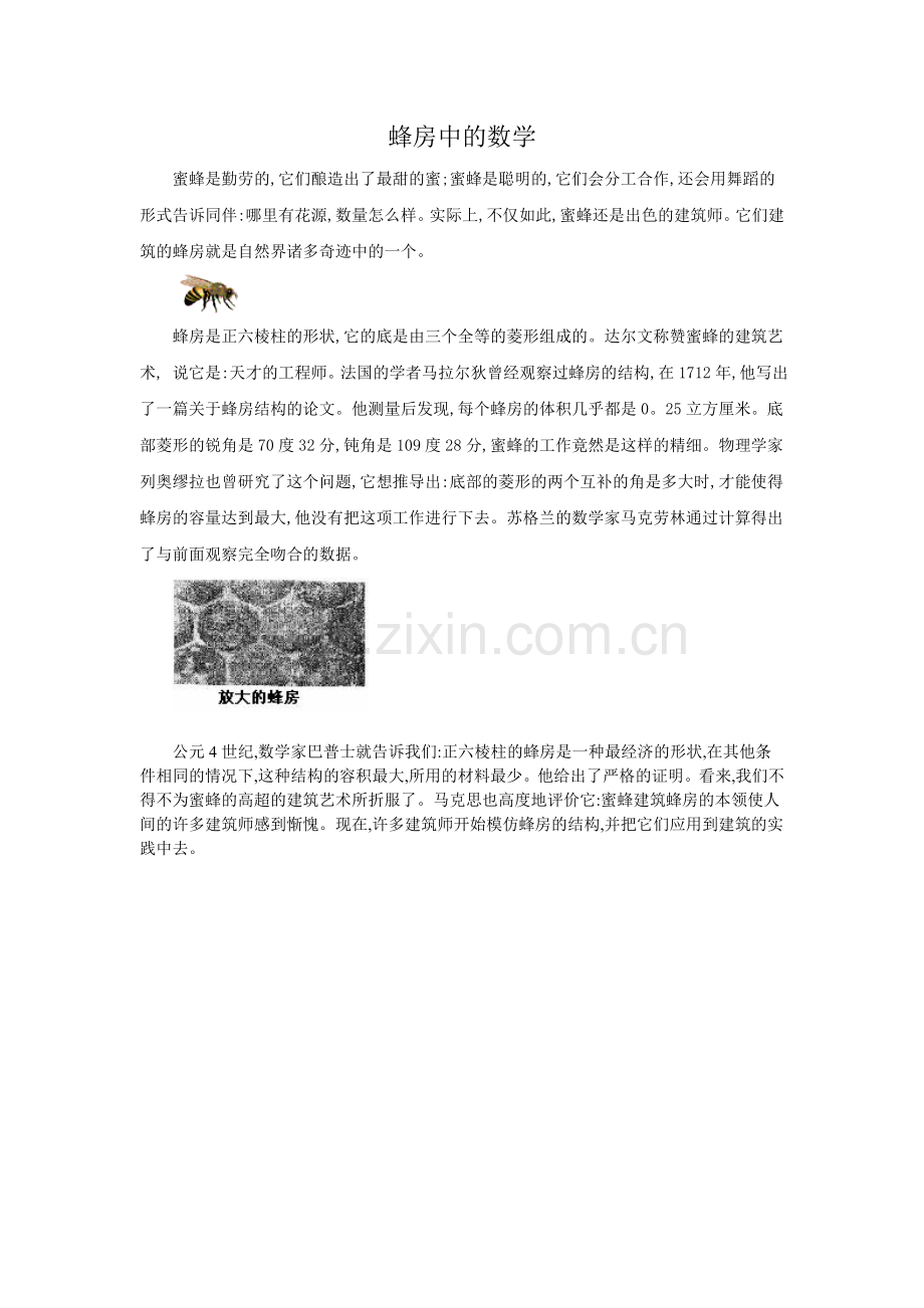 蜂房中的数学.doc_第1页