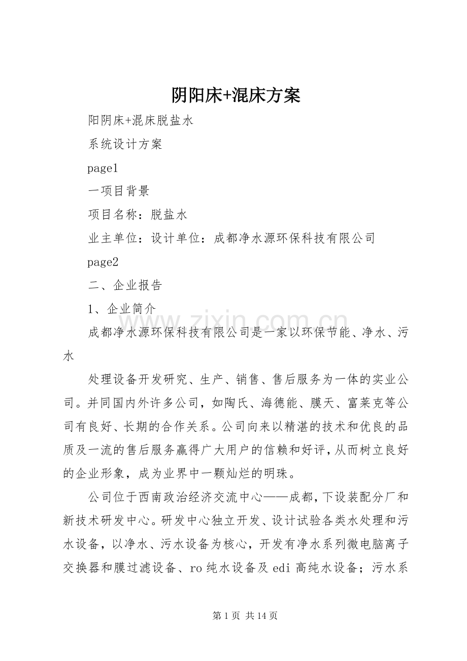 阴阳床+混床实施方案.docx_第1页
