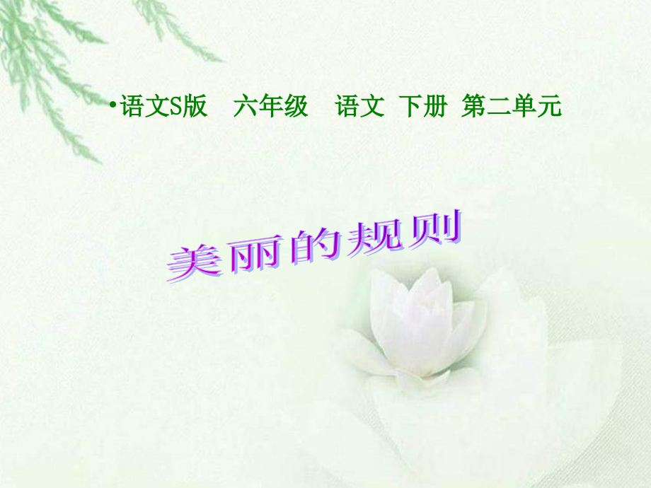 六年级下册美丽的规则语文S版.ppt_第1页