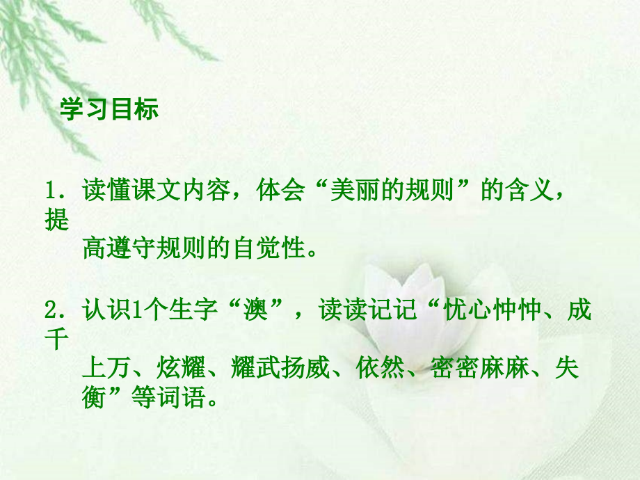 六年级下册美丽的规则语文S版.ppt_第2页